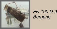 Fw 190 D-9 Bergung
