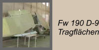 Fw 190 D-9 Tragflchen